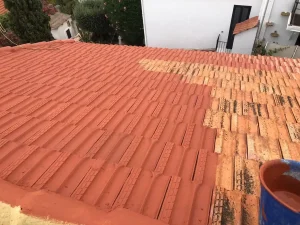 Rénovation et peinture de toiture en tuiles à Lançon